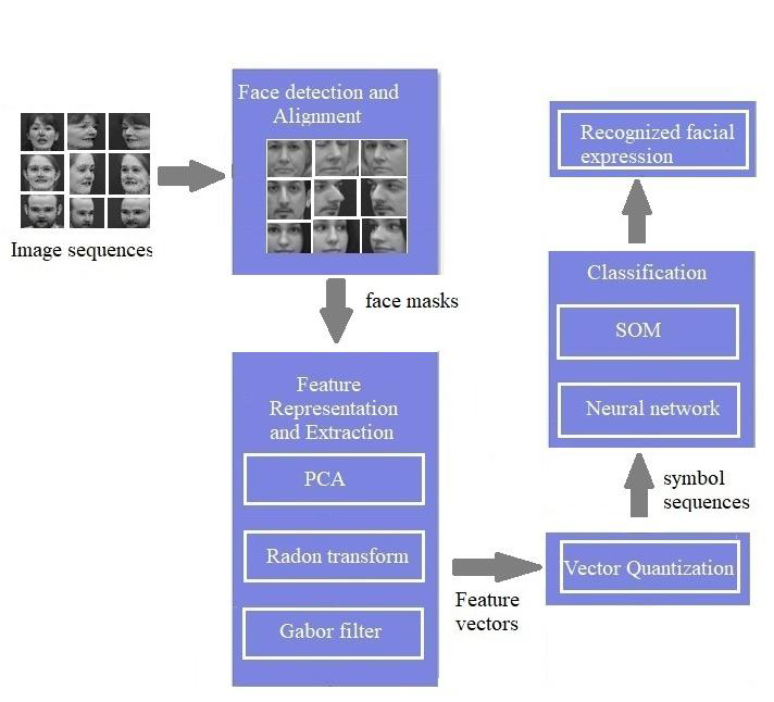 Facial Expression Recognition in Video Sequences Using 1D Transform and Gabor Wavelet Transform